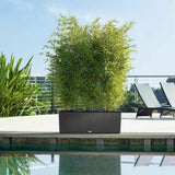 V7H060AC833BBC6BF51E465B1CEC8B6ED4DR7349226P3